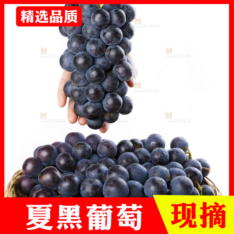 手里拿着黑加仑葡萄
