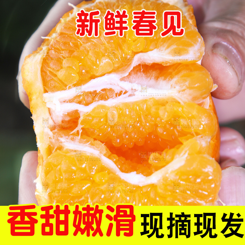 手里拿着耙耙柑