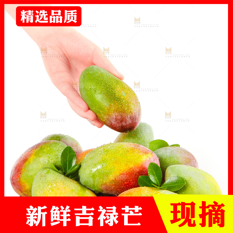 篮子里放着吉禄芒