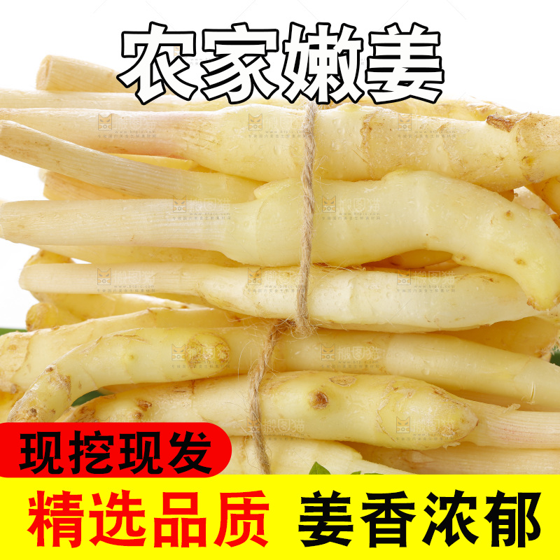 白底上的一堆新鲜生姜
