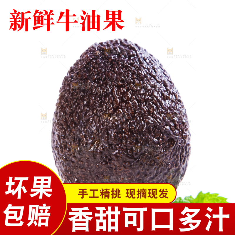 白底上的墨西哥牛油果