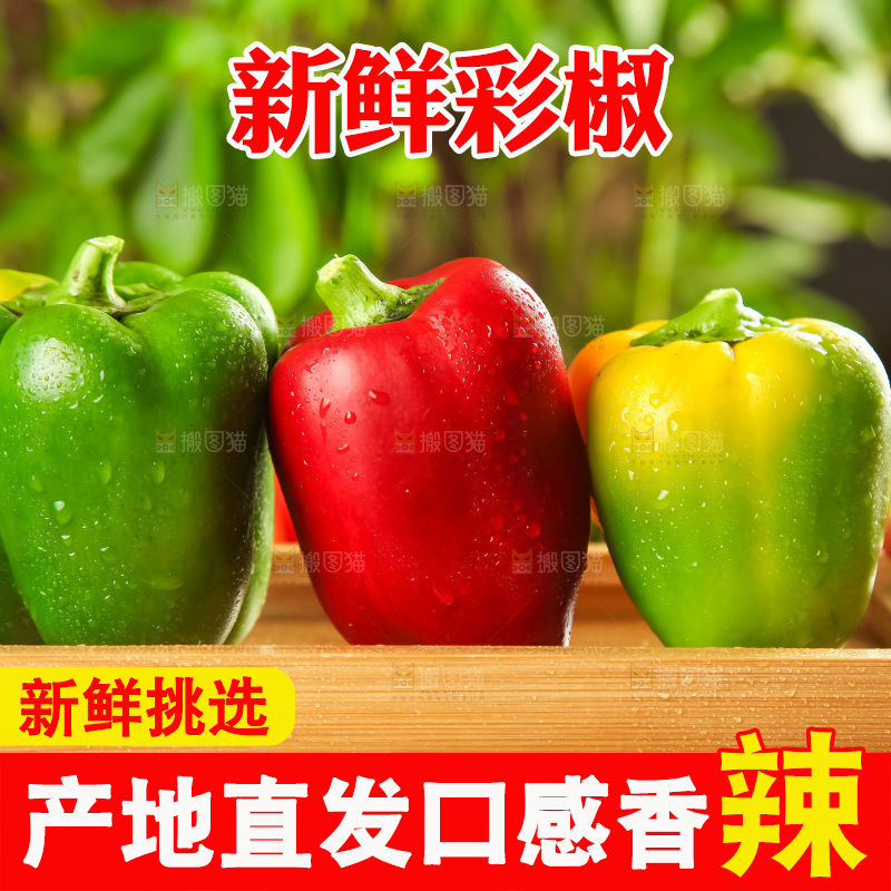 木板上的广西灯笼椒