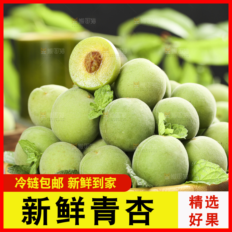 篮子里装着沂蒙山青杏