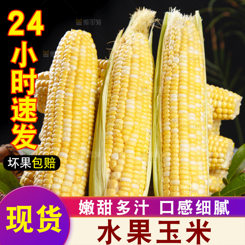 黑底上的云南水果玉米