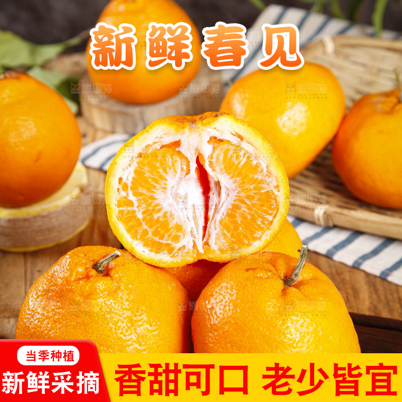 木板上的春见耙耙柑