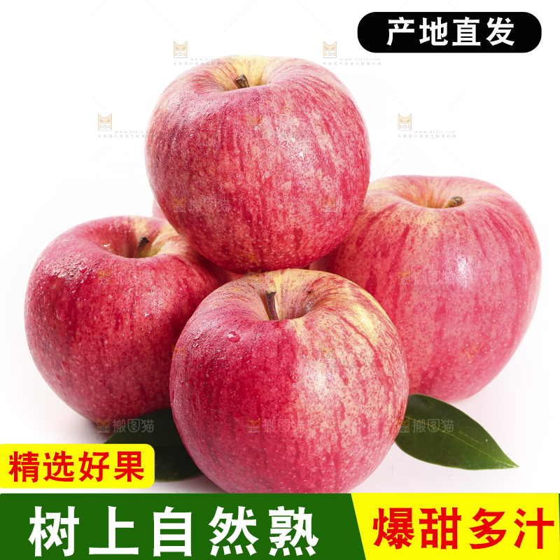 白底上的烟台红富士苹果