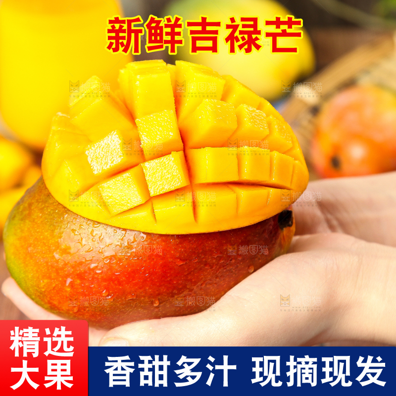 手里拿着吉禄芒果