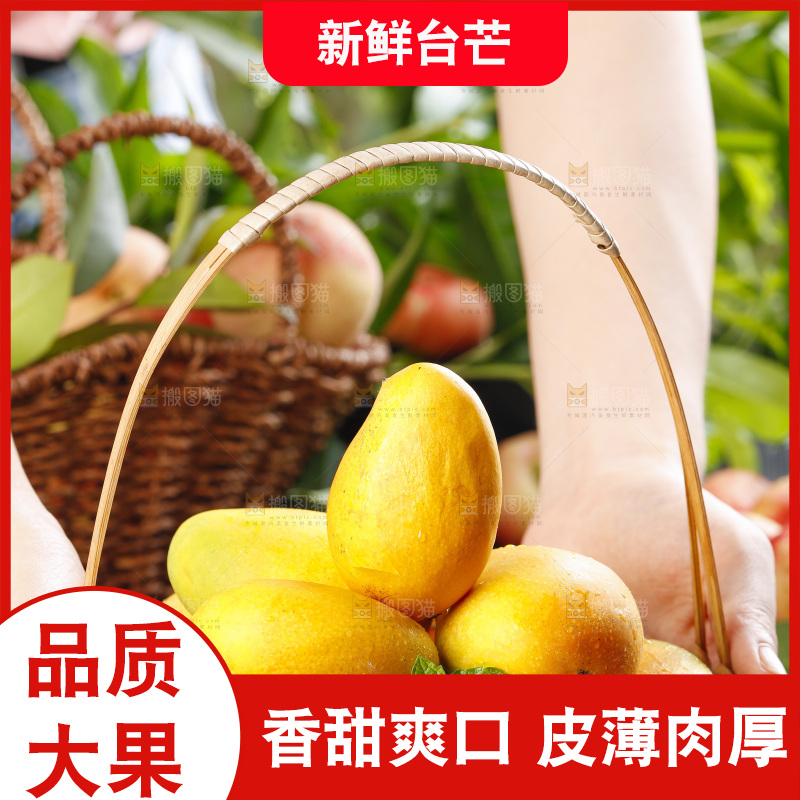 篮子里装着鸡蛋芒