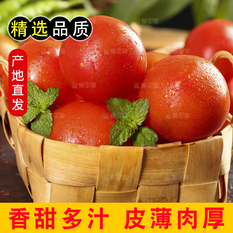 深底上的沙瓤西红柿