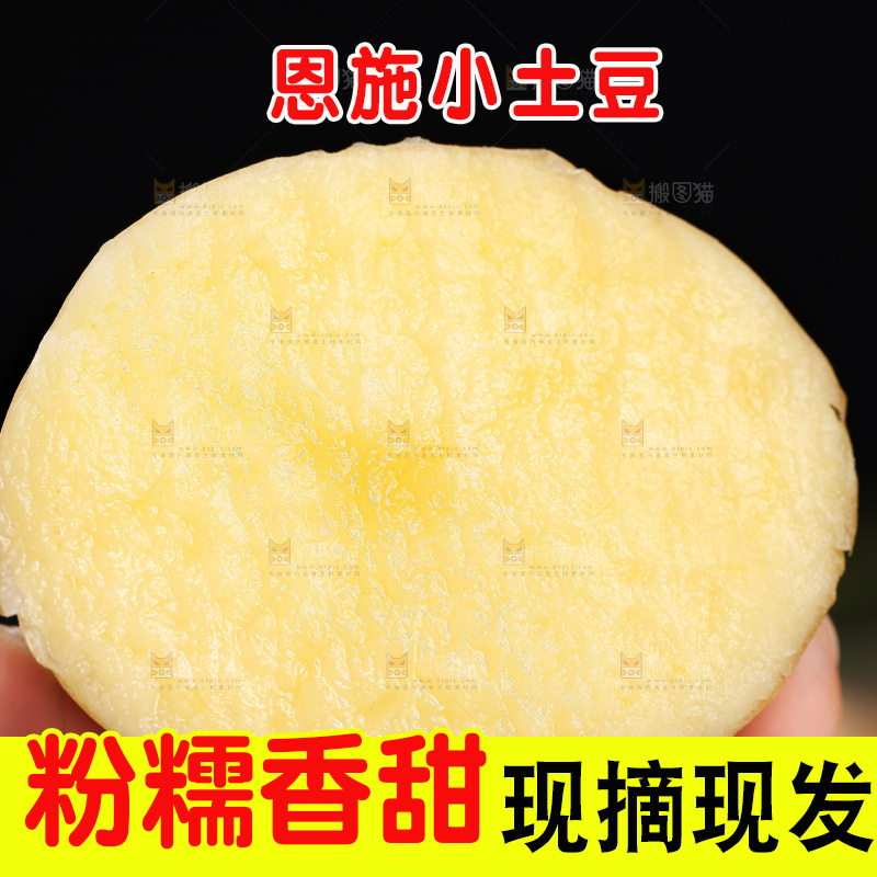 深底上的宜昌小土豆