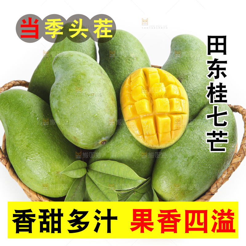 篮子里装着田东桂七芒