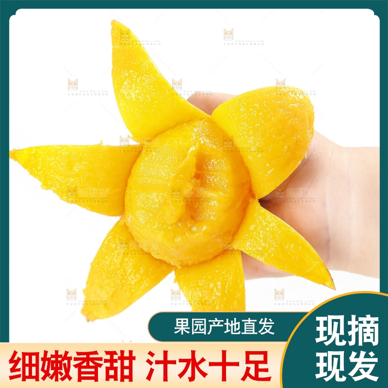 手里拿着小台农芒果肉