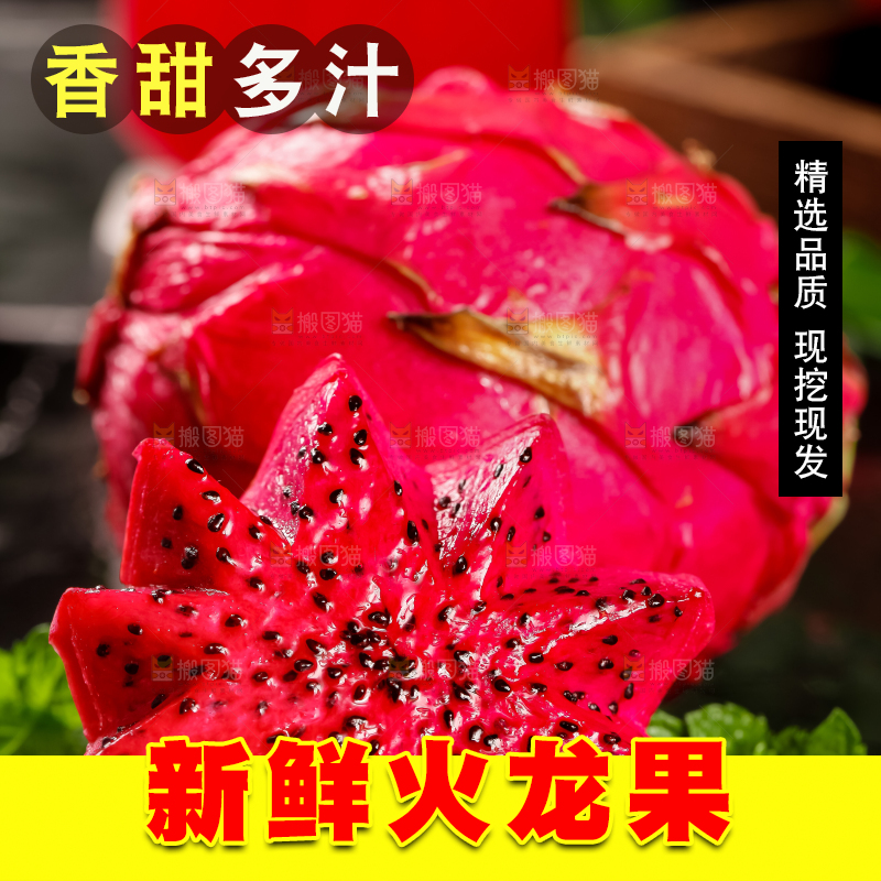 深底上的金都一号红心火龙果