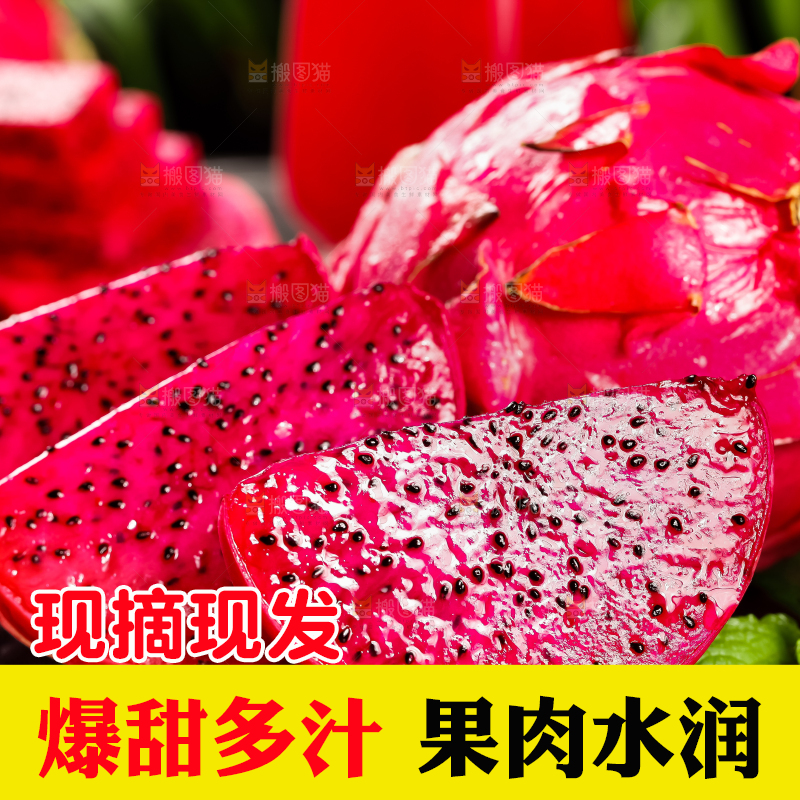 深底上的金都一号红心火龙果