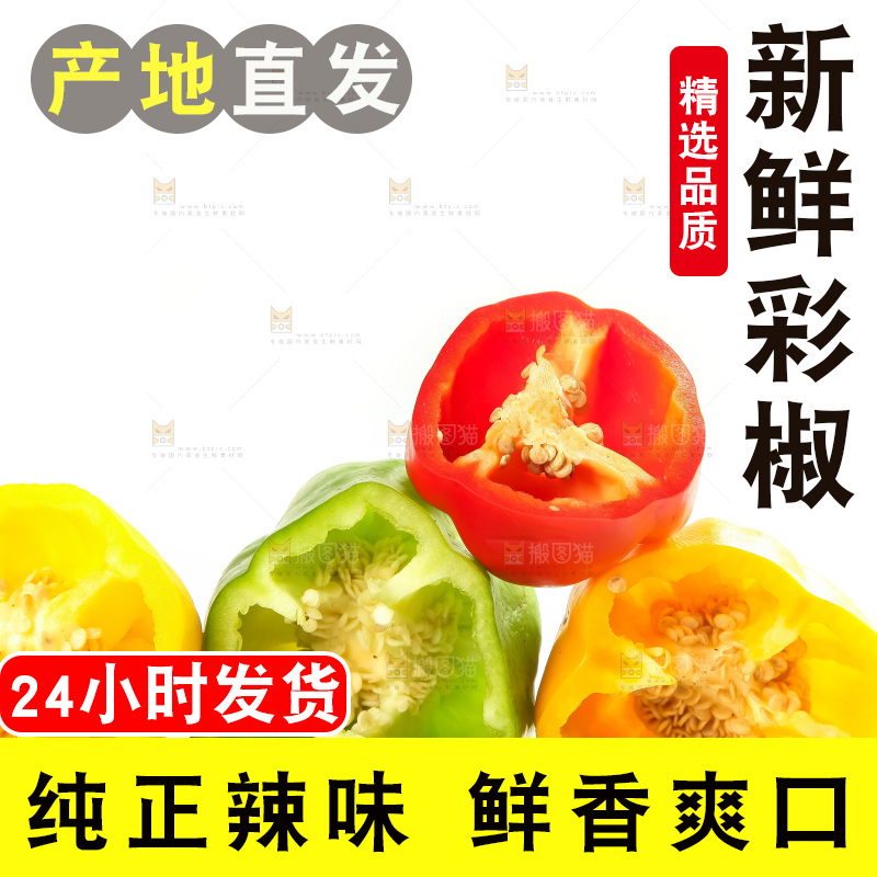 白底上的山东彩椒