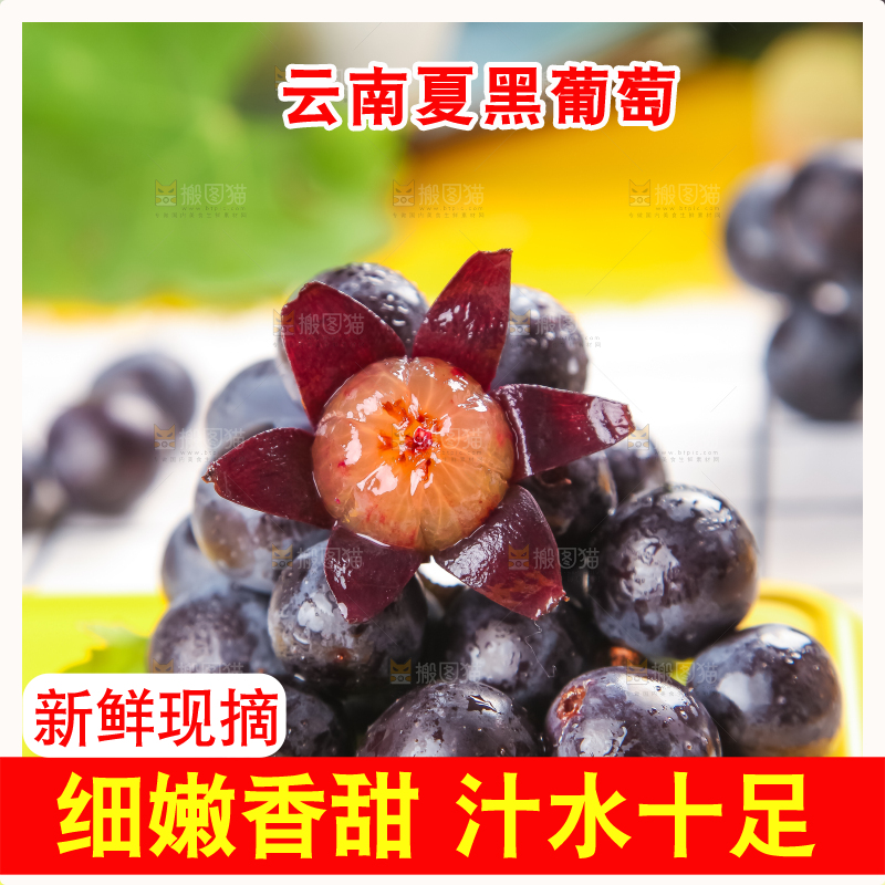 黄底上放着黑加仑葡萄