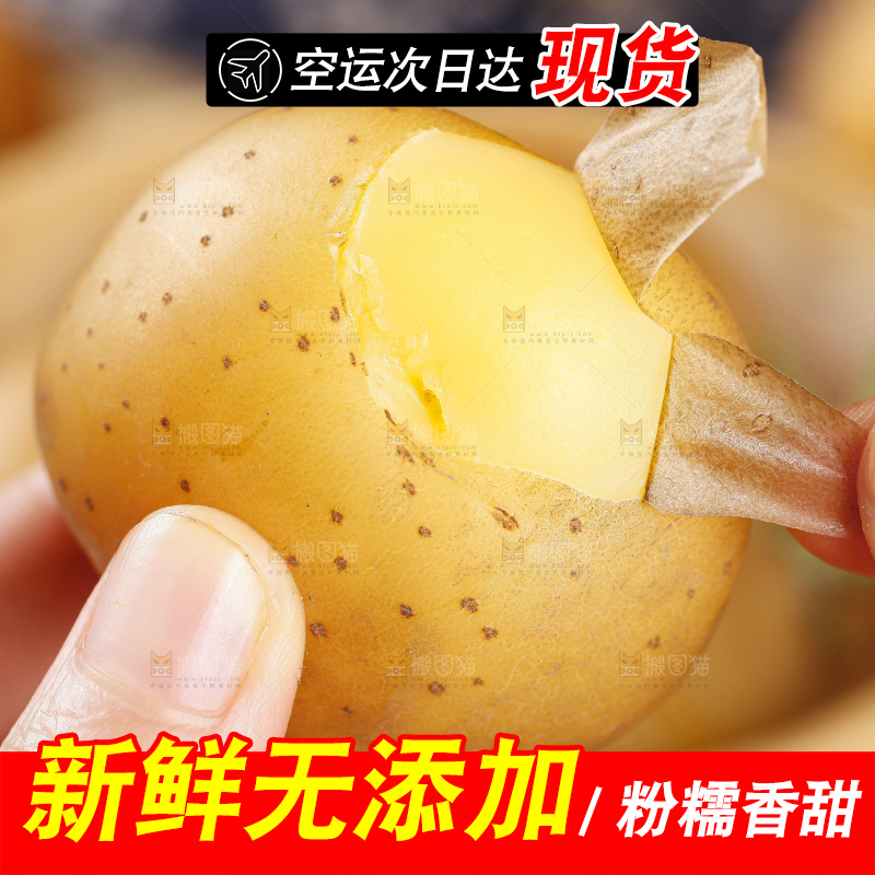 手里拿着迷你小土豆