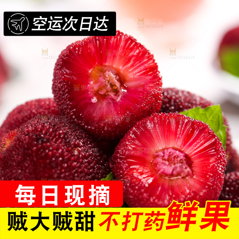 杨梅