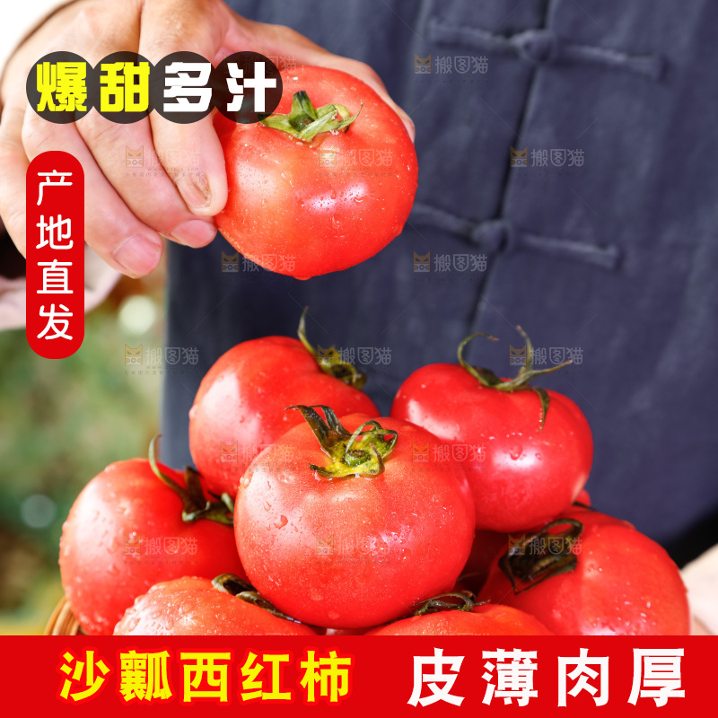 农民手里端着一篮子番茄