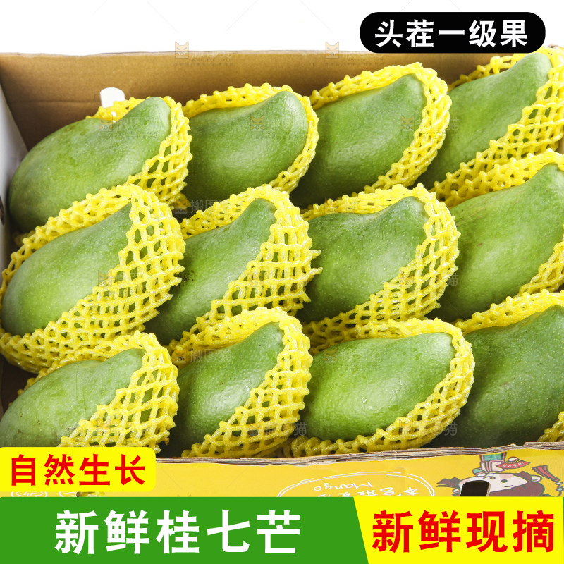 箱子里装着百色田东桂七芒