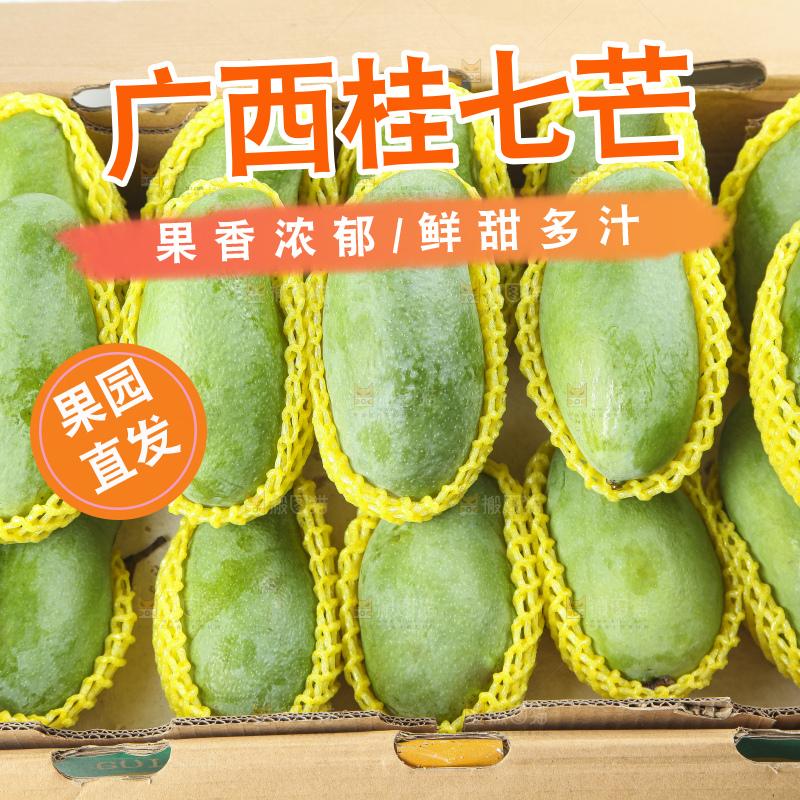箱子里装着百色田东桂七芒