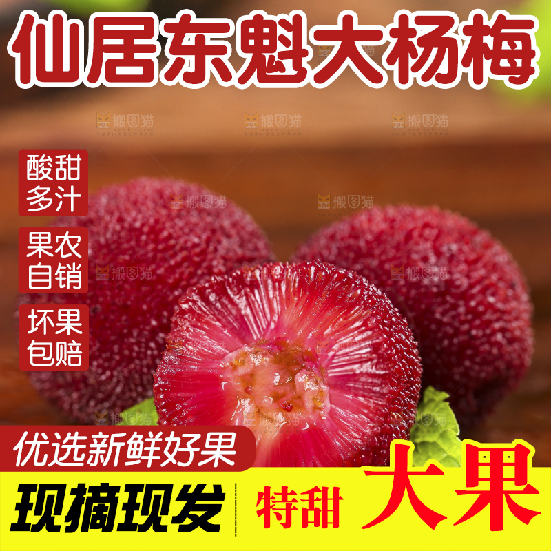 木板上摆放着东魁杨梅