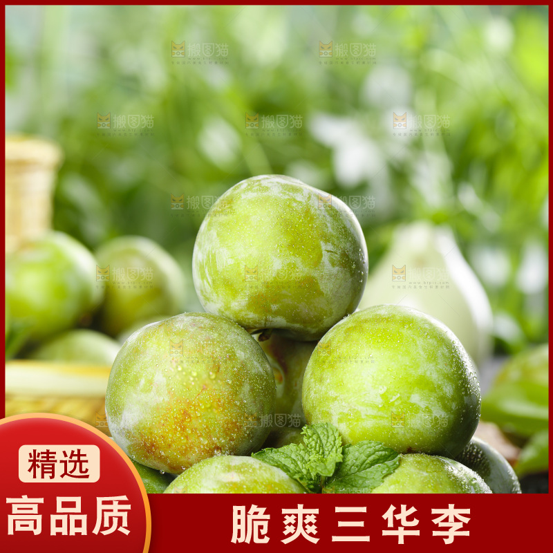 石板上的红肉三华李