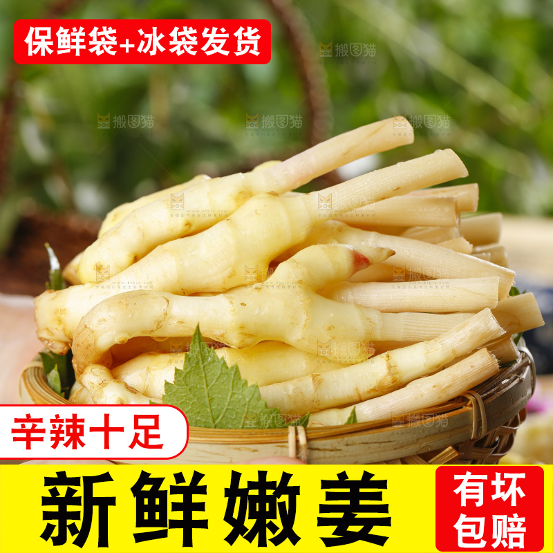 手里捧着一篮子嫩姜