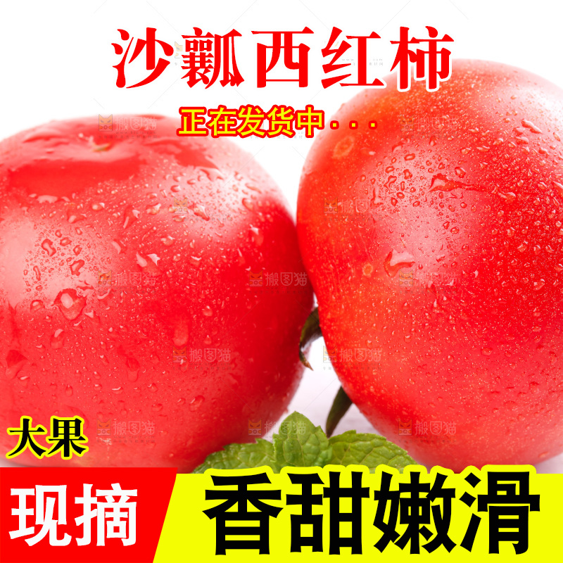 亮底上的新鲜西红柿