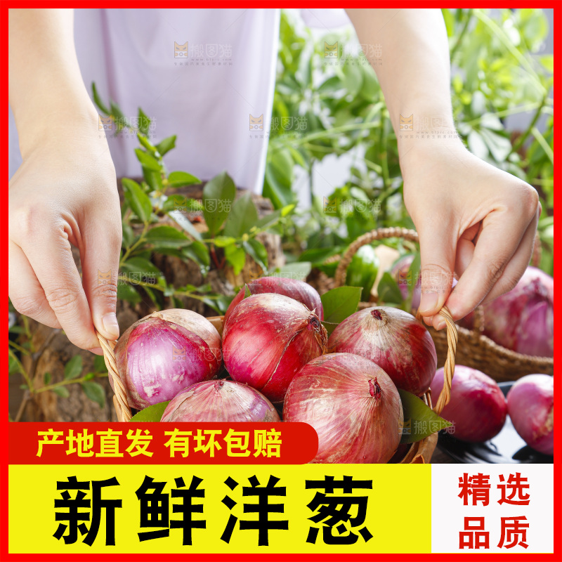 篮子里的新鲜洋葱