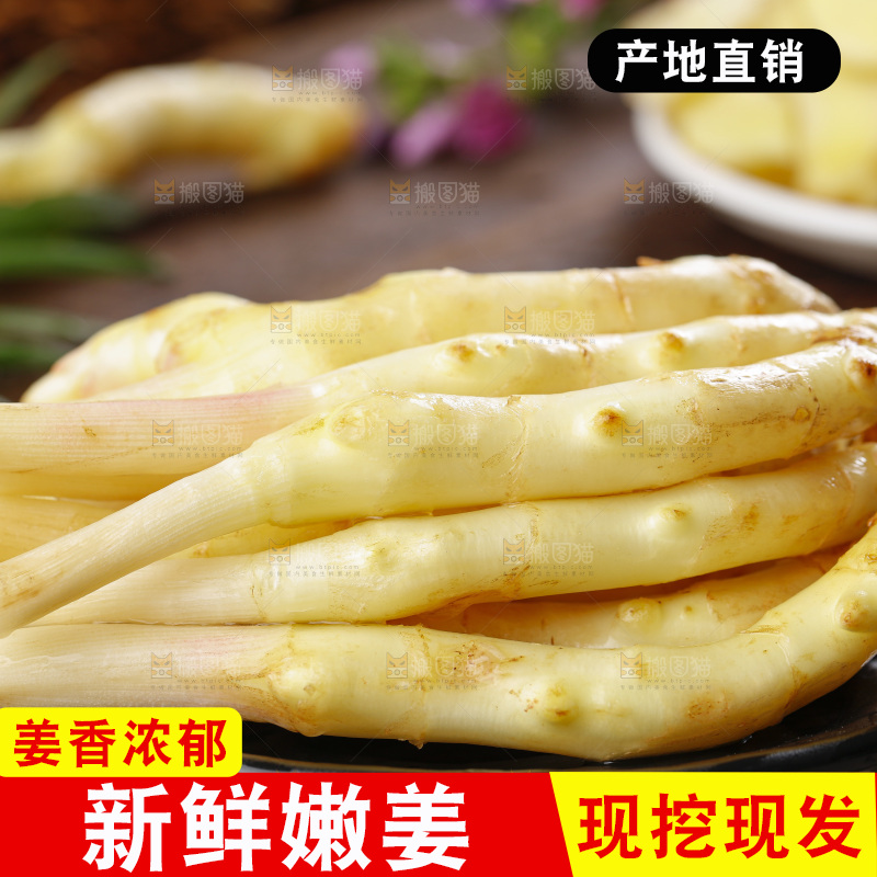 深底上的新鲜生姜