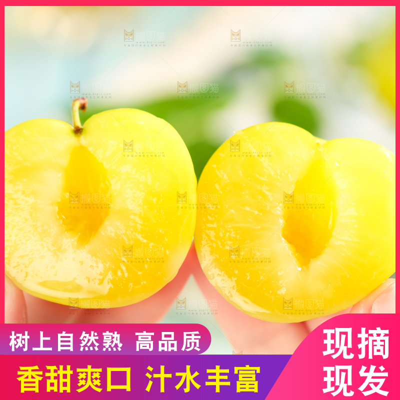 手里拿着新鲜黄金奈李