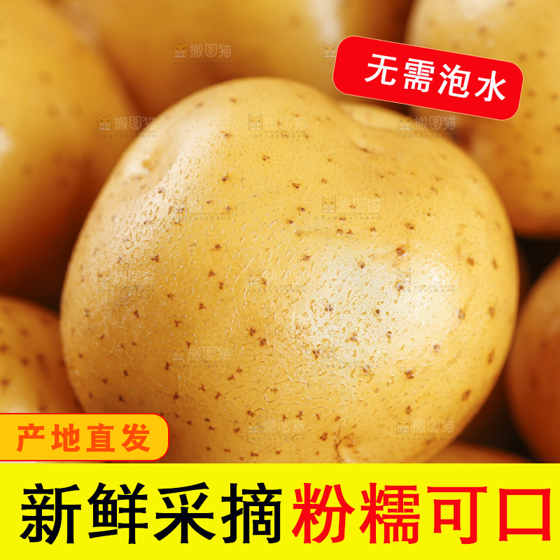 深底上的宜昌小土豆