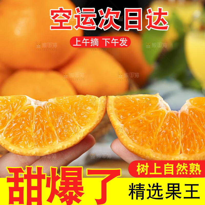 手里拿着四川耙耙柑