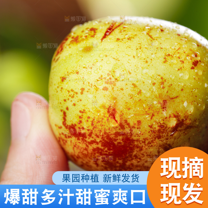 手里拿着大荔冬枣
