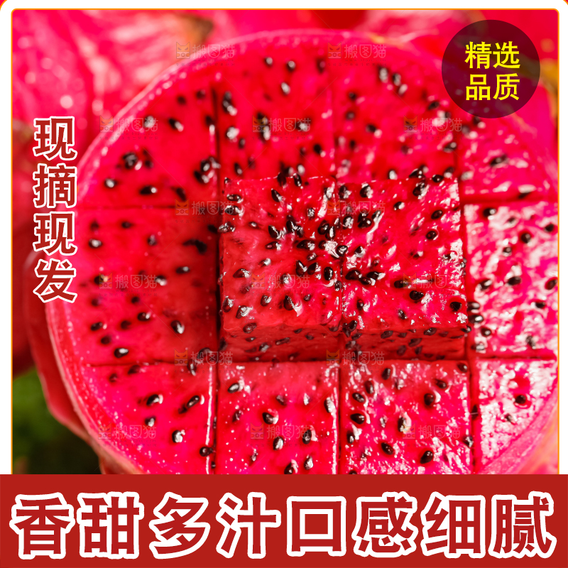 深底上的金都一号红心火龙果