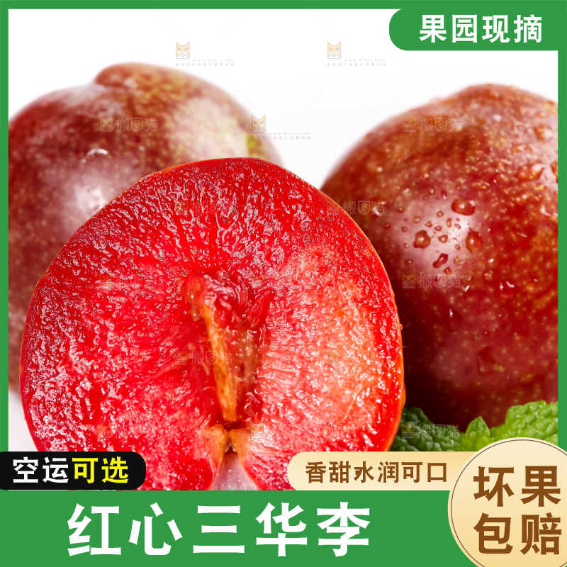 白底上的红肉三华李
