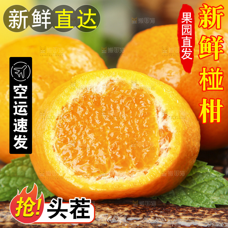 竹底上的永春芦柑