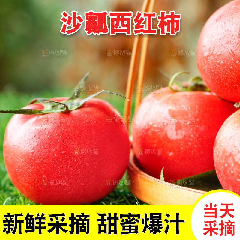 草地上的一堆新鲜西红柿