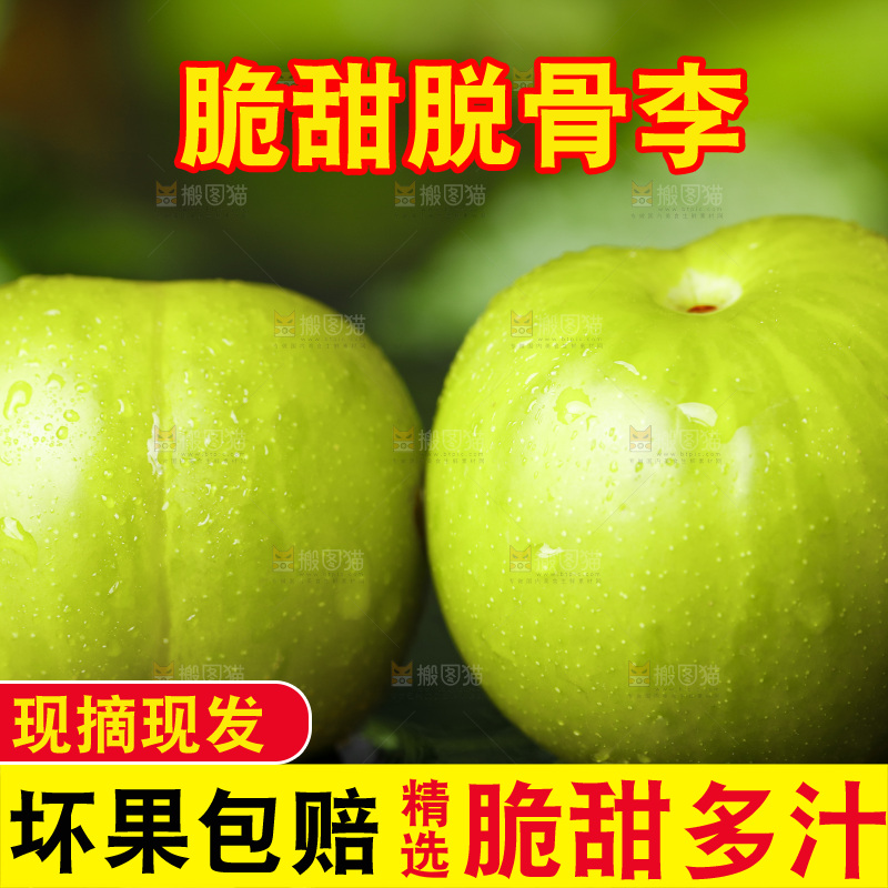 石板上的四川脱骨李子