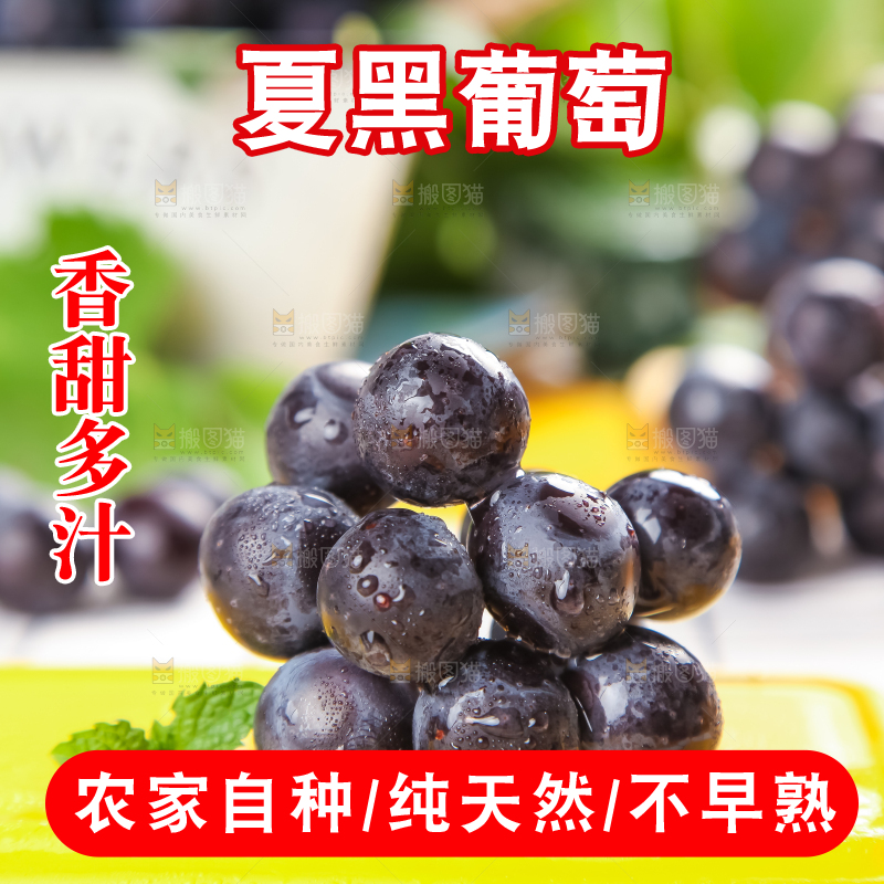 黄底上放着黑加仑葡萄