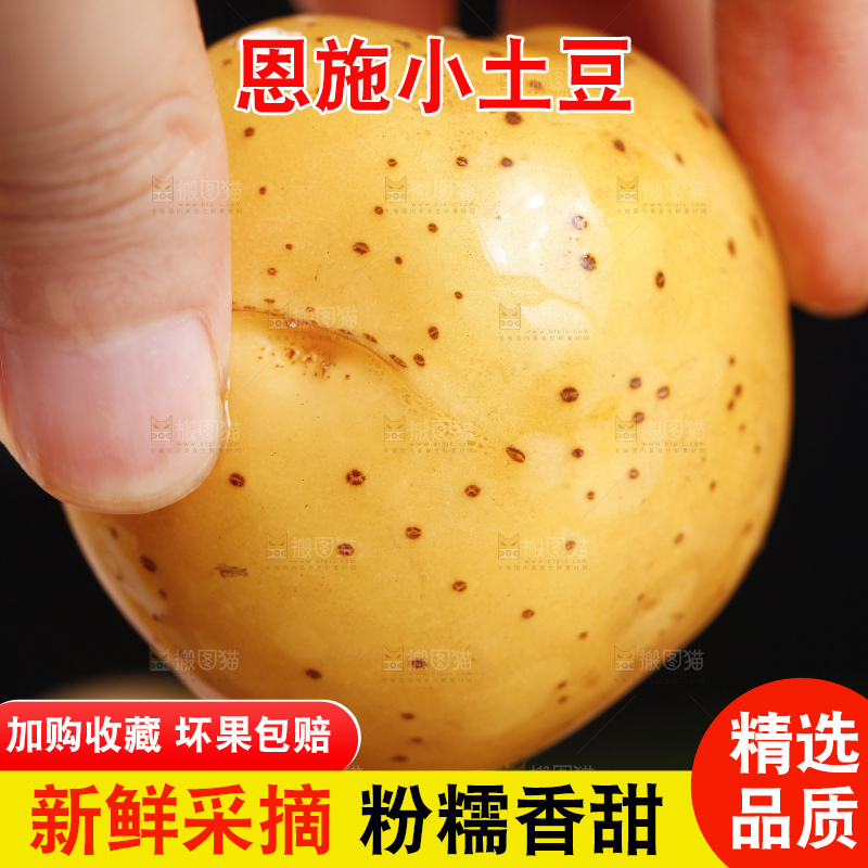 手里拿着迷你小土豆