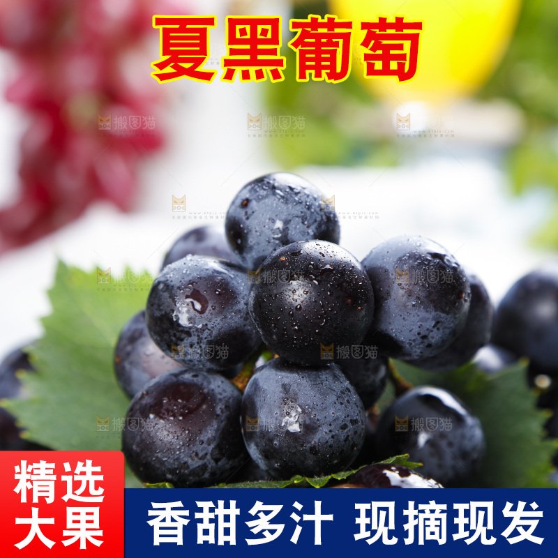 手里拿着黑加仑葡萄
