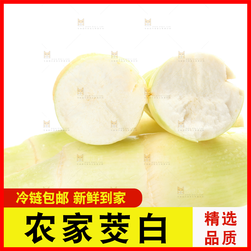 白底上的茭白