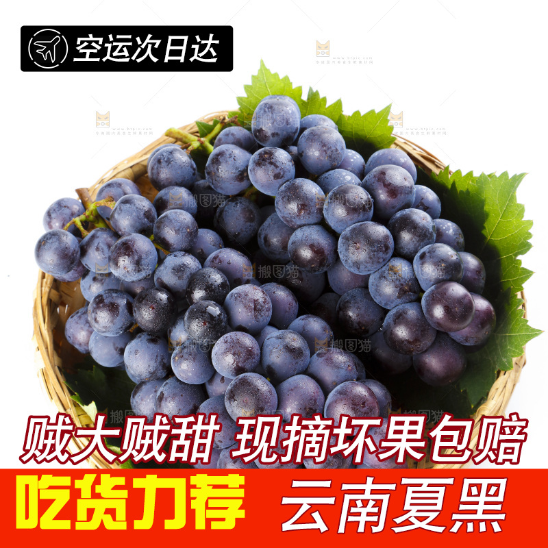 篮子里的夏黑无籽葡萄