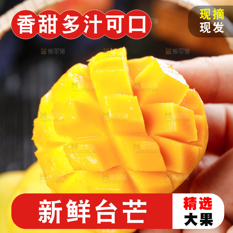 手里拿着小台农芒