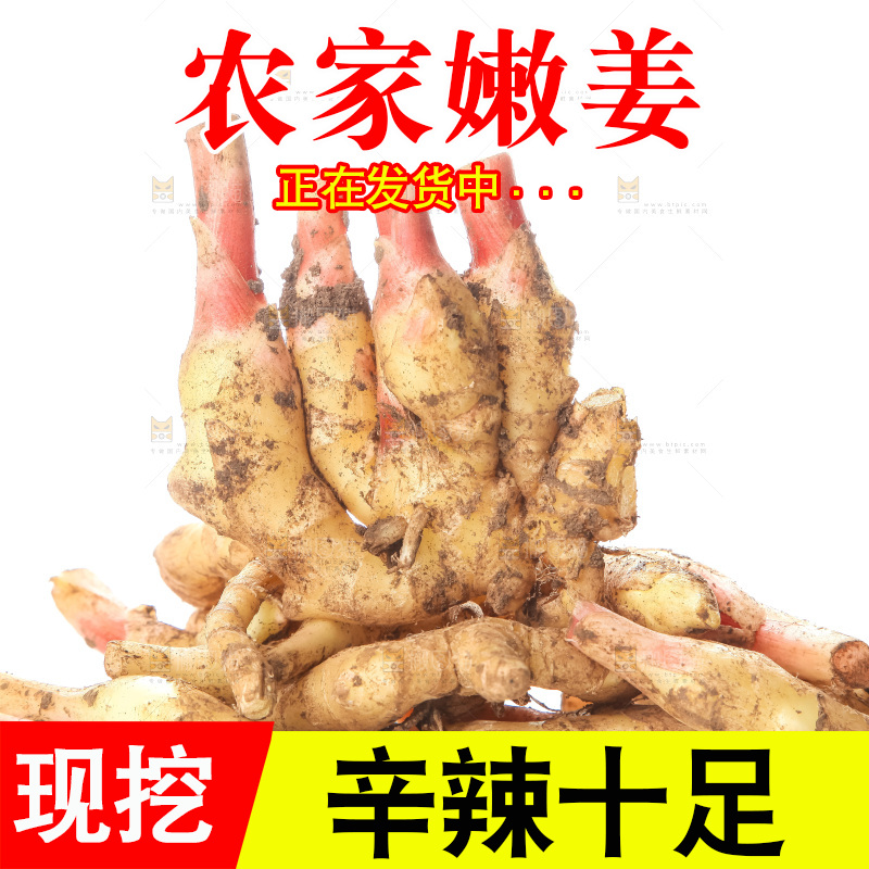 白底上的红芽嫩姜