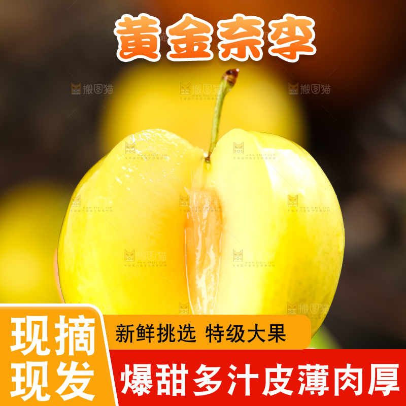 手里拿着黄金奈李