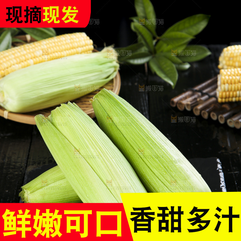 黑底上的云南水果玉米