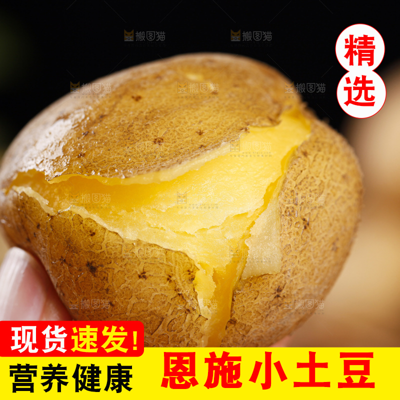 手里拿着迷你小土豆